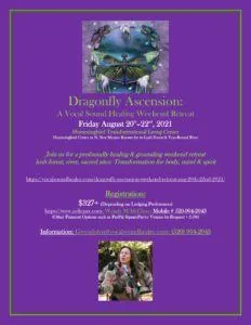 Revised Flyer Dragonfly Ascension 1 232x300