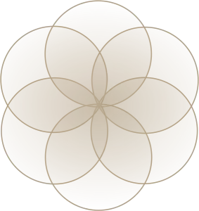 seed of life2 283x300