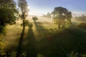 Lough Gur Grange Stone Circle 1 300x201